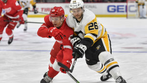 I höstas fick Vili Saarijärvi dra på Detroits tröja i en träningsmatch. Detroits Vili Saarijärvi kämpar om pucken med Pittsburghs Andrew Agozzino.