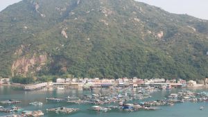 Fisk odlas i stor skala i en bukt i Hongkong. Byn består i stort sett enbart av fiskrestauranger som också driver fiskodlingarna. Fisk odlas i stor skala på en bukt i Hongkong. Byn består i stort sett enbart av fiskrestauranger som också driver fiskodlingarna.