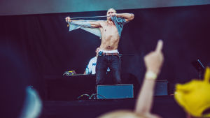 Ruisrock