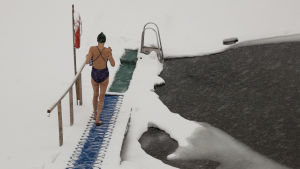 Att doppa sig i iskallt vatten kräver en del sisu. Vinterbadare i snöstorm