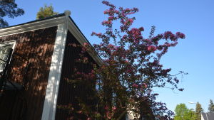 Gardberg Center köpte Gardbergs hus av Karis stad för nio år sedan och sedan dess har föreningen restaurerat byggnaden. Nu används för möten, seminarier och kurser.. Gardbergs hus i Karis.