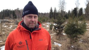 Kim Back understryker att bara en välskött skog ger bra avkastning. Man i röd jacka står framför skog
