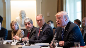 USA:s president Donald Trump vid ett kabinettmöte i Vita huset