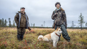Jaakko Pohjoismäen Jekku-koira pääsee tositoimiin. Metsästäjät ja pohjanpystykorva
