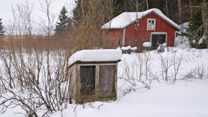 Voljären på Korkolainens gård har inte använts på länge. Vintern har varit lugn - hittills. En bur för fåglar med träväggar står på en snötäckt gård. I bakgrunden synns ett rött uthus.