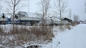 Det här är en del av det område som Marcus Grönholm, Ingå kommun och andelslaget Finlands bostadsmässa planerar att ska bli bostadsområde i Ingå kyrkby. Området som ska planaras är cirka femton hektar och Ingåstrands areal drygt fem hektar. Det planeras nya hus intill småbåtshamnen i Ingå där det blir en bostadsmässa 2022.