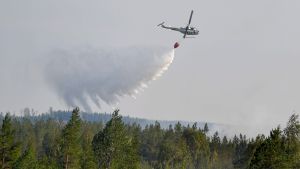 De resurser som nu sätts in för att bekämpa de enorma bränder som härjar runtom i Sverige är otillräckliga, säger Sven Olov Karlsson. Brandmän släcker en bränd i Ljusdal från luften.