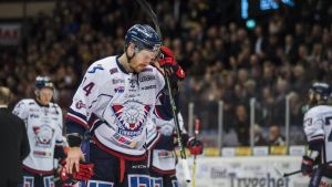 Salmela spelade slutspel med Linköping våren 2017. Anssi Salmela i kvartsfinalserien mot Brynäs våren 2017.