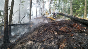 Det kan vara svårt för räddningsverket att ta sig fram till en brandplats i en bergig skog (illustrerande arkivbild). Brandmän släcker eldsvåda i skogen
