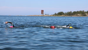 Trion tycker att det ger mycket att träna tillsammans. Tre män simmar i havet.