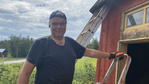 Kjell Nybacka är en av dem som målar den nya brädfodringen på kvarnens nedre del. Kjell Nybacka står på en stege med röda fläckar på.