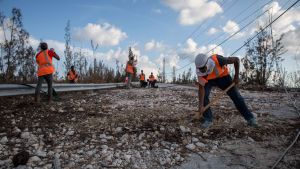 Infrastrukturen, däribland vägar och elnätet, skadades svårt på ön Grand Bahama. Arbetare röjer en skadad väg.