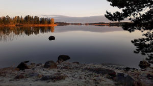 Utsikt från Anne Manners sommarstuga. Det är här hon sysslar med skogsarbete, som idag är en hobby för henne. Höst i skärgården.