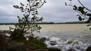 Vyn från Stornäsudden på Emsalö tidigare under dagen. våg med vitt brus på havet, trädets kvistar står vågrätt.