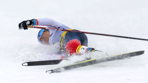 Weng tog sin första världscupseger på tre år. Heidi Weng stupar i mål efter segern i världscupfinalen i Engadin.