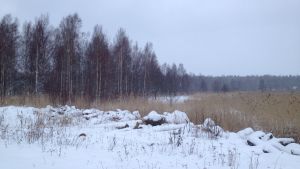 Strandlinjen från båtförvaringsplatsen och förbi isbanorna. Det planeras nya hus intill småbåtshamnen i Ingå där det blir en bostadsmässa 2022.