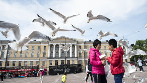 Klimataspekten är central när Finland tar över ordförandeskapet Lokkeja Senaatintorilla