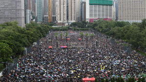 Demokratirörelsens protester i Hongkong satte igång förra sommaren då Kina verkställde en kontroversiell säkerhetslag som bland annat möjliggör att brottsmisstänkta Hongkongbor kan utlämnas till Fastlandskina. Sedan lagen tillämpades har Hongkongbornas friheter inskränkts avsevärt. Demokratiaktivisterna demonstrerar i Victoria Park i stadskärnan för att visa "hur fredliga Hongkongbor är"