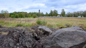 Det planerade grönområdet är ingen park, säger Jensén, men kommer nog innehålla promenadstråk, några planteringar och möjlighet att leda dagvattnet någonstans innan det åker ut i sundet. stenar och gräs på ängen som ska grävas upp för nya handelskajen, i bakgrunden syns en k-marketskylt