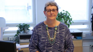 Tuula Haavisto tycker att det borde ordnas mer aktivitet utomhus vid Tölöviken. På vintern ordnas Lux Helsinki, som är ett bra exempel på ett utomhusevenemang vintertid. Kulturdirektör Tuula Haavisto.