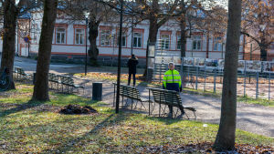 Att inte klippa gräsmattorna lika ofta som förr är ett sätt att vara klimatsmart på. Bänkar i park.