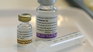 Det är upp till de etablerade politikerna och experterna att kunna förklara och ge den information som behövs för att övertyga exempelvis vaccinationsmotståndare att vaccinationer är pålitliga och effektiva, konstaterar forskare och lektor Ann-Cathrine Jungar. Vaccin mot svininfluensa.