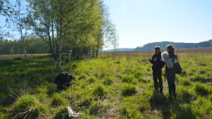 Havtornsbuskarna har planterats nära vattendrag. En person intervjuar en annan person i ett strandområde med högt, grönt gräs.