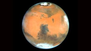 Det liv man söker efter på Mars är inte små gröna gubbar, utan snarare mikroorganismer, och man hoppas hitta spår av dem på platser där vatten tidigare kan ha funnits. Mars