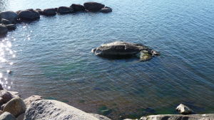 Grunda stränder är speciellt känsliga för gifter. blått hav vid en stenig strand, lite klippor, solreflexe i vattnet, solig dag i oktober