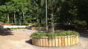 Nu är det slut på isbanan på Katarinaskolans gård. Nya växter har planterats på Katarinaskolans skolgård i Karis.