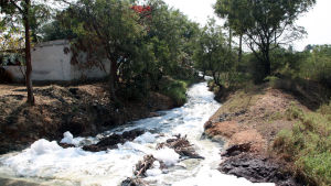 Floden Musi kan innehålla höga halter av medicinrester nära Hyderabad. En förorenad flod där skum syns på ytan. Bilden är tagen nära Hyderabad