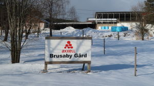 Mjölkkorna i Brusaby får ge plats åt köttboskap det kommande året. En modern bondgård med stora förrådsbyggnader och runda ensilagebalar i snöväder