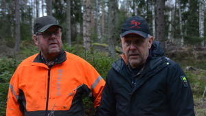 Sven Eriksson kör ut virke och Magnus Träskman avverkar. Sven Eriksson, Magnus Träskman