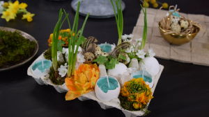 Ett blomsterarrangemang gjort i ett äggfack med tomma äggskal som små vaser. Arrangemanget är dekorerat med fjärdrar, vaktelägg, mossa, tulpaner och narcisser.