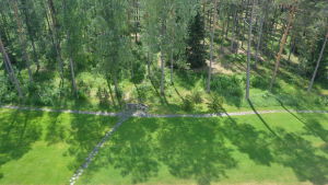Då sanatoriet byggdes trodde man starkt på tallskogens helande effekt. Skogen kring sanatoriet sett från balkongen.