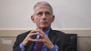 Anthony Fauci anser att lokala skolmyndigheter ska besluta om det är tryggt att inleda närundervisning i höst. Anthony Fauci sitter på en stol och ser samlad ut.