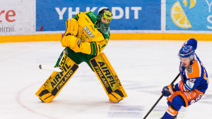 Är Lukas Dostal tjeckisk målvaktsetta på sikt? Ilves målvakt Lukas Dostal i ett derby mot Tappara.