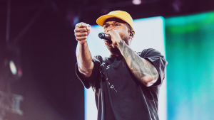 Ruisrock