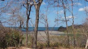 Stranden där jättesköldpaddorna häckar ligger i naturreservatet Chacocente, som har en av Centralamerikas viktigaste tropiska torrskogar. Stranden är uppdelad i zoner för att underlätta bevakningsarbetet. Chacocente strand i Nicaragua.