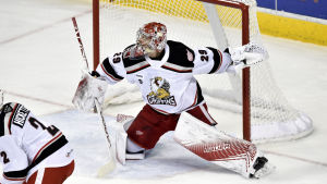 Harri Säteri spenderade hela säsongen i AHL-klubben Grand Rapids Griffins. Harri Säteri spenderade hela säsongen i AHL-klubben Grand Rapids Griffins.