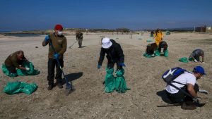Igår arbetade tusentals volontärer och inkallade soldater med att rengöra stränderna. Flera volontärer rengör en strand i Israel efter att tonvis av tjära spolats upp på stranden
