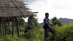 Den burmesiska armén menar att folkmordsanklagelserna är propaganda. Hela operationen beskrivs av Burma som en antiterrorinsats. Armén medger för första gången att soldater har gjort sig skyldiga till massakrer på rohingyamuslimer i Rakhinestaten i västra Burma