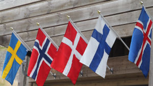 De fem norrdiska länders flaggor vajar på en trävägg.