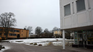 I dag finns det i bankhuskomplexet bostäder ovanför skattebyrån. Det kunde finnas flera bostäder i byggnaderna, anser Ekenäs sparbank. Byggnader i en stad.