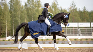 Anna von Wendt beundrar Sir Fashions goda lynne Anna von Wendt och hästen Sir Fashion