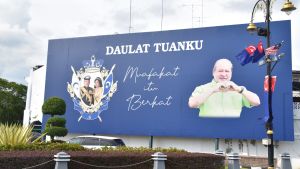 Sultanen av den sydliga delstaten Johor är speciellt populär. Hans hustrus bakgrund är avvikande såtillvida att hennes mor var kines. Sultanen av den sydliga delstaten Johor är speciellt populär. Hans hustrus bakgrund är avvikande såtillvida att hennes mor var kines.