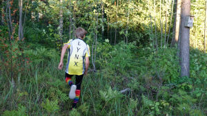 Florian Fritzén satsar hårt på orienteringen. En pojke springer bort från kameran i en grön skog. Han har på sig en vit-gul träningsskjorta som det står Lynx på och randiga färggranna strumpor.