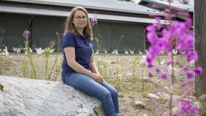 Hönorna har plats att röra sig och kan vara ute året om. Virva Latostenmaa tror att de mår bra. Virva Latostenmaa utanför hönshuset på Mäntymäki ekogård