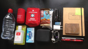 Detta är innehållet i Noras handväska. Alltid beredd på större och mindre katastrofer. Detta är innehållet i en så kallad preppers handväska. Alltid beredd på större och mindre katastrofer.