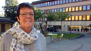 Vi har inget samarbete med SD men vi bjuder in alla partier till informationsmöten, säger kommunalråd Inger Källgren Sawela. Vi har inget samarbete med SD men vi bjuder in alla partier till informationsmöten, säger kommunalråd Inger Källgren Sawela.